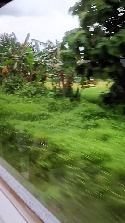 View outside train