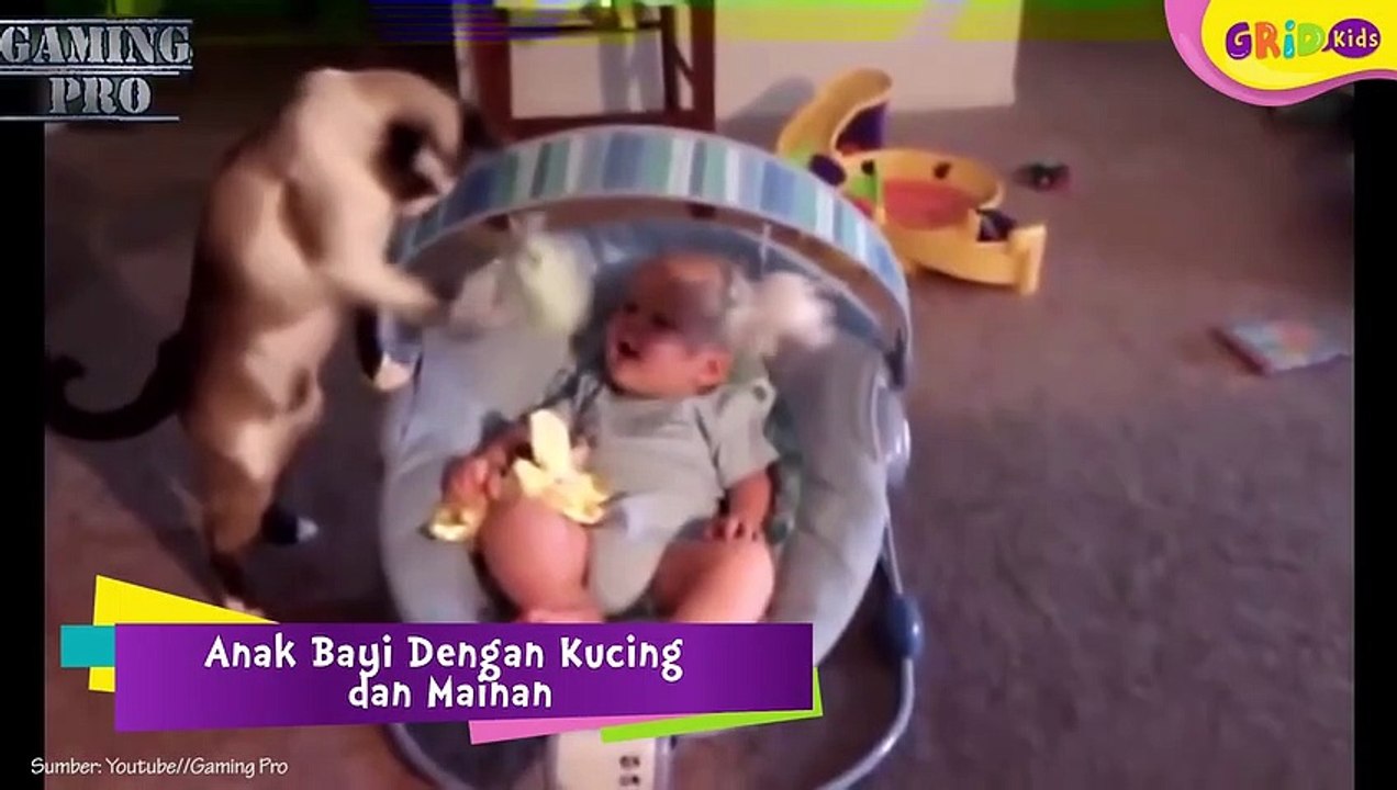 Video Lucu