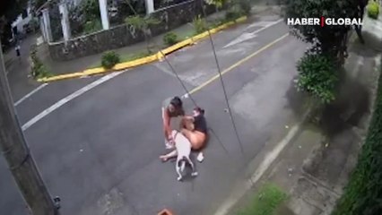 Kadını pitbull saldırısından kurtaran aşçı kamerada!