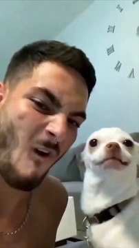 Funny Dog Videos - Don't Dare To Bark At Me | Bark At Your Dog Challenge- Funny Dog Reaction Videos| Pets House