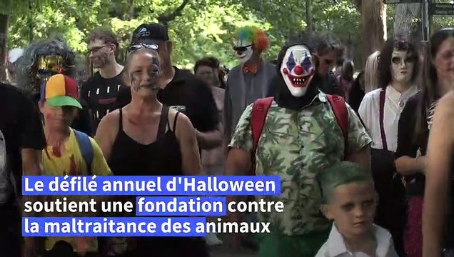 Afrique du Sud: un défilé de zombies caritatif dans les rues du Cap pour Halloween