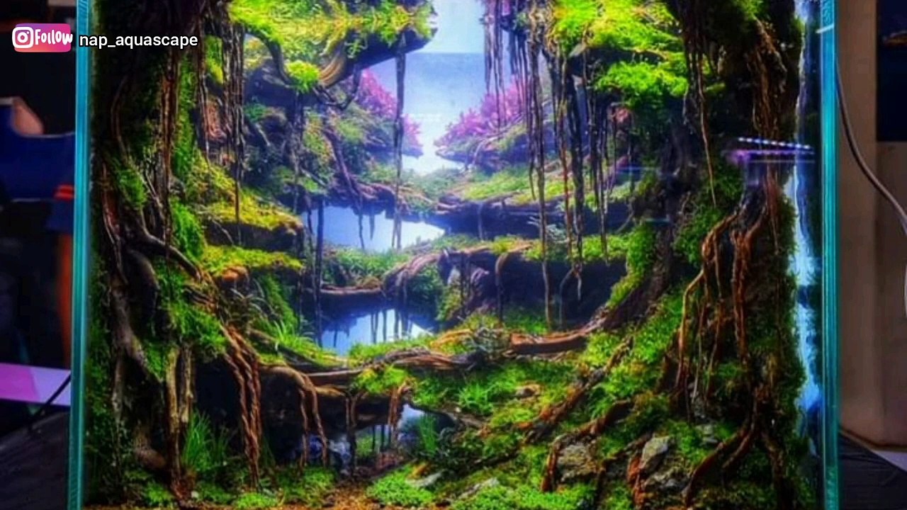 Karanganyar kontes aquascape 2022