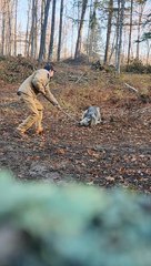 Releasing a Wolf from a Trap