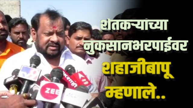 Shahaji Bapu Patil: ‘ नुकसानग्रस्त शेतकऱ्यांना नुकसानभरपाई ...‘; शहाजीबापूंचे मोठे विधान