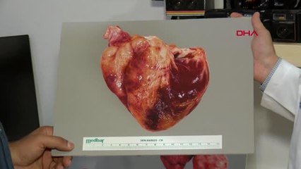 DOKTOR ADAYLARINA 'TIBBİ FOTOĞRAFLAMA' EĞİTİMİ