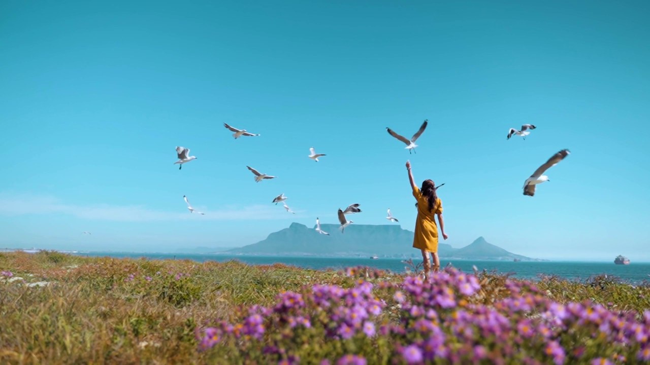 John Stea ~ Shattered Garden (Climate Change Song)
