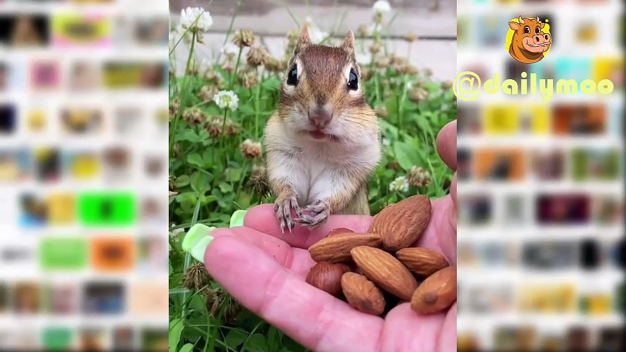 part #1 Funny videos