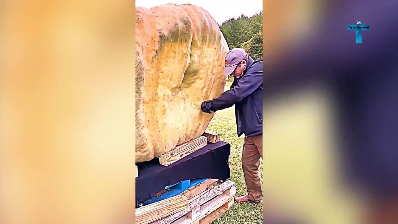 Top 10 Minutes Of Unbelievable Moments Caught On Camera