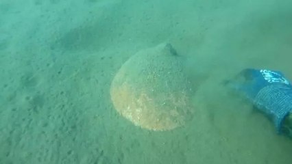 Balıkçının 5 metre derinlikte bulduğu küp heyecanlandırdı