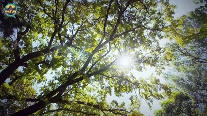 The Desert Viper And Other Horrors Of The Sands Awesome Hunting Tactics