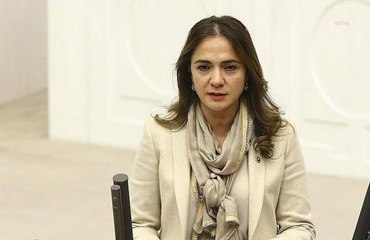 CHP'li İlgezdi'den "veteriner hekimler sağlık çalışanı sayılsın" talebi