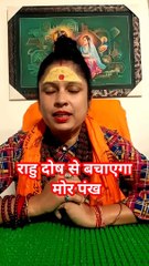 राहु दोष से बचाएगा मोर पंख #shorts #viral