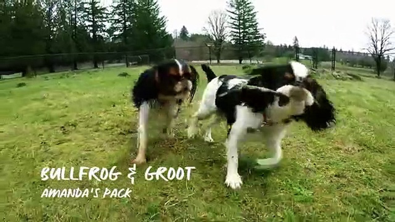 Amanda to the Rescue - Se1 - Ep03 HD Watch HD Deutsch