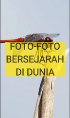foto foto bersejarah yang langka