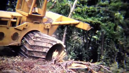 Sekali Lewat Hutan Rata, Mesin Dan Alat Berat Terbesar Yang Pernah Dibuat