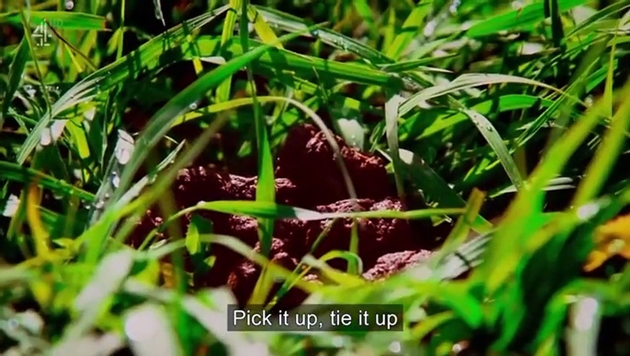 Banged Up - Teens Behind Bars - Se1 - Ep03 HD Watch HD Deutsch