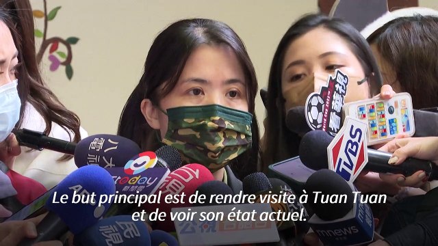 Diplomatie du panda : en pleine tension, Taïwan invite des vétérinaires chinois