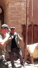 Unknown fact about Tiger Zinda Hai Movie | Salman Khan  | Screenid