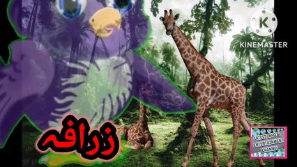 Tallest animal in the jungle its called giraffe.