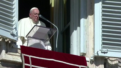 교황 "젊은이 등 비극적 사고 희생자 위해 기도" / YTN