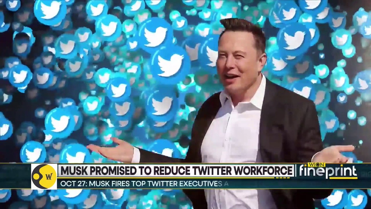 WION Fineprint: Elon Musk planning layoffs at Twitter, say reports