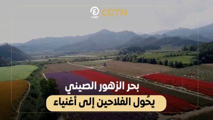 بحر الزهور الصيني يحُول الفلاحين إلى أغنياء
