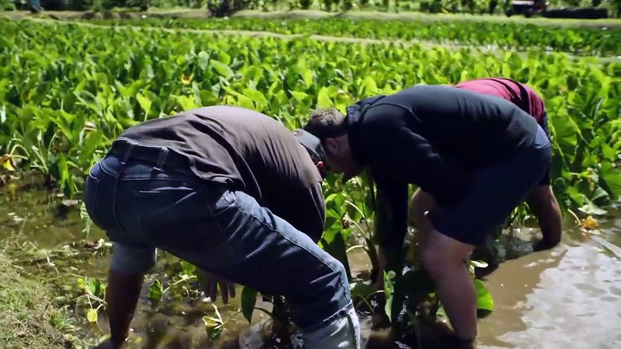 Restaurants on the Edge - Se2 - Ep05 HD Watch HD Deutsch