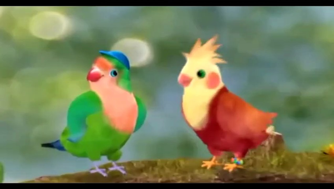 3rd & Bird - To Play or Not To Play!