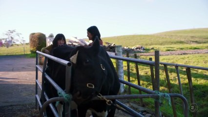 Creamerie - Se1 - Ep01 HD Watch HD Deutsch