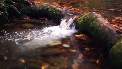 relaxing pan flute music