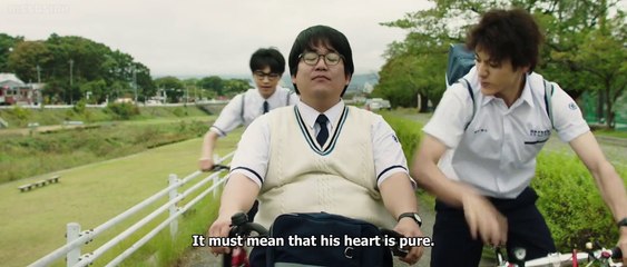 あの頃、君を追いかけた  You Are the Apple of My Eye English sub