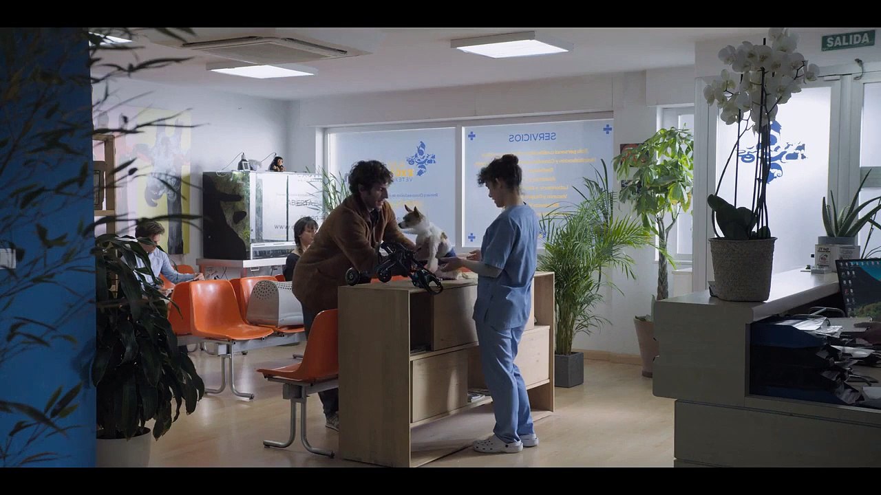 The Neighbor (El Vecino) - Se1 - Ep05 HD Watch HD Deutsch