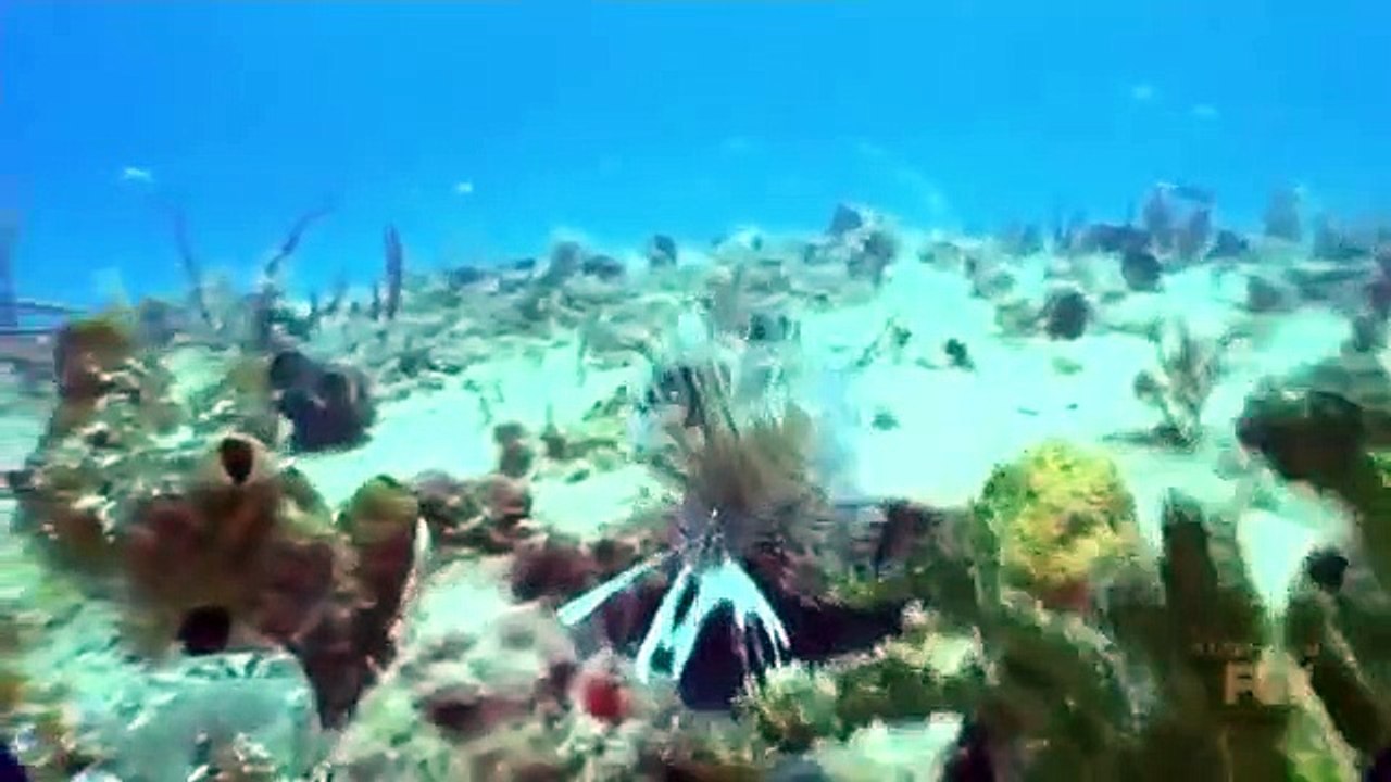 The F Word (US) - Se1 - Ep04 HD Watch HD Deutsch