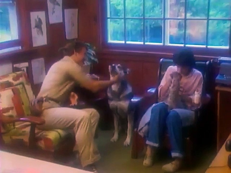 The Littlest Hobo - Se1 - Ep06 HD Watch HD Deutsch