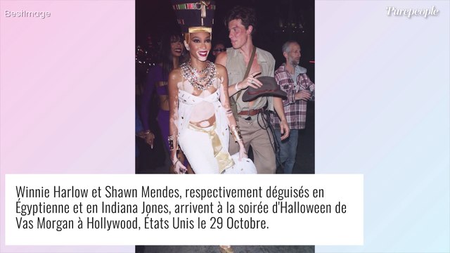 Halloween 2022 : Paris Hilton, agent du FBI très sexy, Shawn Mendes en Indiana Jones...