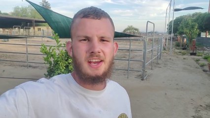 Harbor Freight Greenhouse Hydroponics-Ov_96