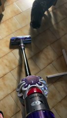 Cat Gets a Vacuum Scare