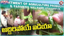 Govt Agriculture Officials Grow Various Vegetables In Office Premises  | V6  Weekend Teenmaar