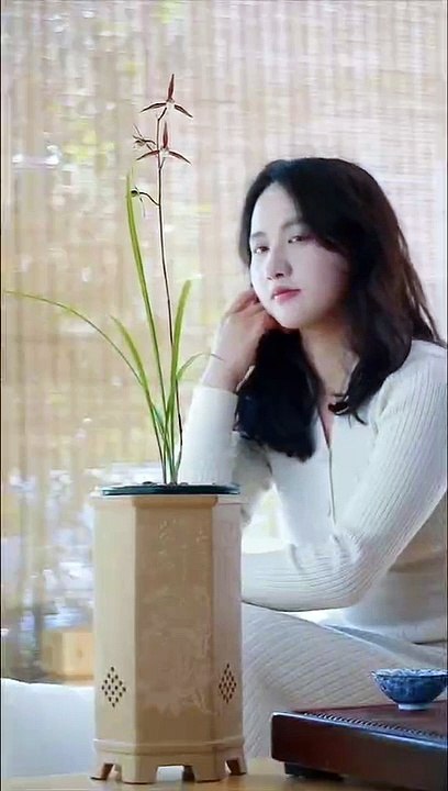 Bonsai Art - Home & Garden Decoration - 369 Ecology News