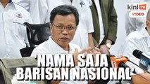 'Nama saja Barisan Nasional tapi cuma satu parti yang dominan'