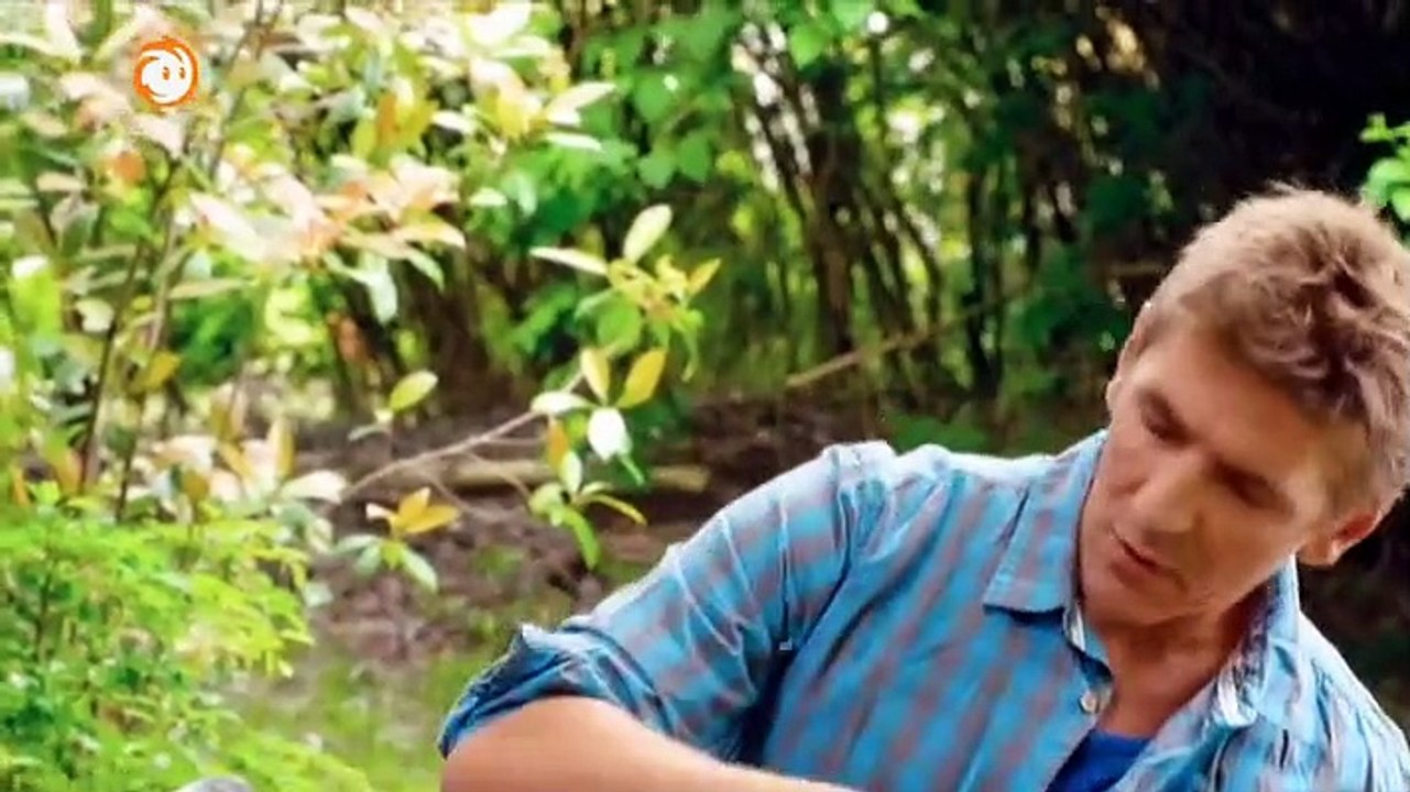 Löwenzahn Staffel 34 Folge 1 HD Deutsch