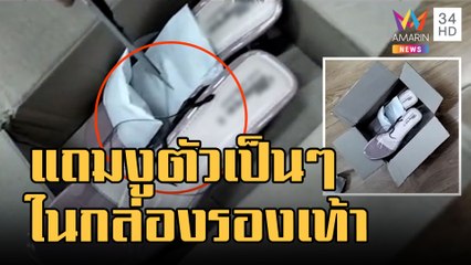 ข่าวเที่ยงอมรินทร์ | สั่งรองเท้าออนไลน์ได้สินค้าตรงปก ได้ของแถมเป็นงูตัวเป็นๆ | 31 ต.ค.65