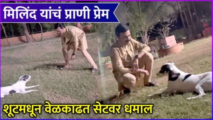 Milind Gawali Is An Animal Lover | मिलिंद यांचं प्राणी प्रेम,शूटमधून वेळकाढत सेटवर धमाल