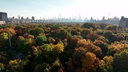 Central Park'ta sonbahar renkleri