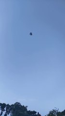 Bermain Layang layang