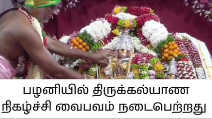 பழனி: கந்த சஷ்டியை முன்னிட்டு திருக்கல்யாண நிகழ்ச்சி