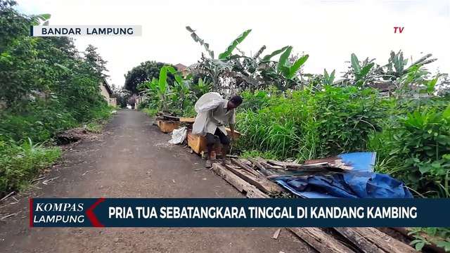 Hidup Sebatang Kara, Pria Tua Tinggal di Kandang Kambing
