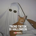 Halloween, ecco i trend che stanno spopolando su TikTok