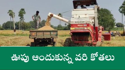 నల్గొండ: ఉప ఎన్నిక ఎఫెక్ట్‌- కూలీలు లేక మిషన్లతో వరి కోతలు