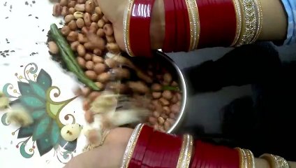 Roasted- Garlic Chutney | भुनी हुई लहसुन की चटनी | लसुन थुवियाल |